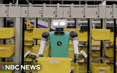 Amazon’s Billion-Dollar Robot Workforce Initiative
