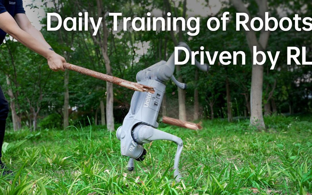 Daily Robot Training with Reinforcement Learning