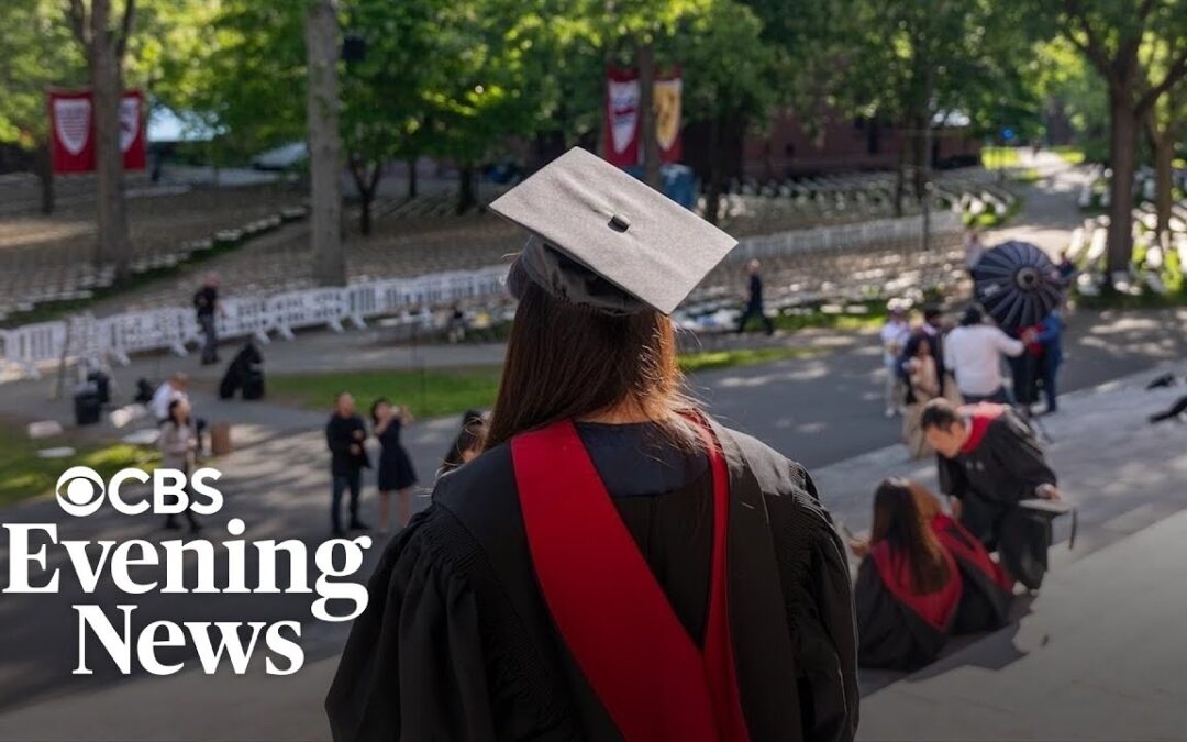 AI Replaces Entry-Level Jobs, Raising College Grad Unemployment